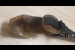 Walther GSP kal. .22LR