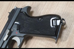 SIG P210