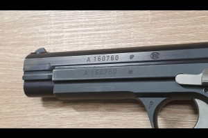 SIG P210