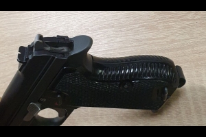 SIG P210