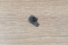 Gniazdo dźwigni zwalniacza kurka SIG P226