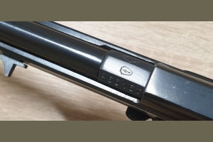 Margolin MCM kal .22LR