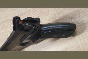 Margolin kal. .22LR zestaw