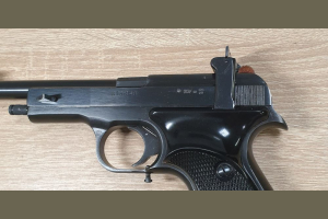 Margolin kal. .22LR zestaw
