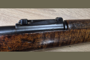 Gew. 98 Danzig 1906